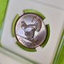 Proof 1928 1d PENNY Freestate High grade Registered post included Read description Image 9