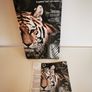 Bugaboo Bee We are a handsome Tiger Limited edition Image 6