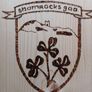 Gaa crest Image 2
