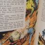 annuals Image 9