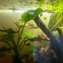 Full aquarium set up Image 2