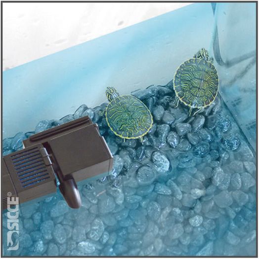 SICCE Shark PRO NANO 320 Internal Filter, 320 l/h - (60-100L) Fresh & Marine