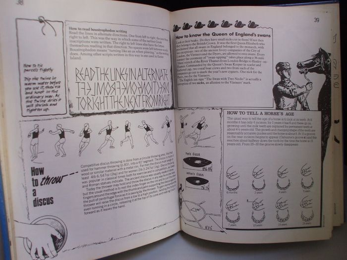 SALE!  HOW TO HOLD A CROCODILE - Hundreds Of Practical Tips, Fascinating Facts And Wicked Wisdom