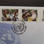Ireland 2005.50th Anniversary of Ireland's Membership in the United Nations.First Day Cover.FDC. Image 3