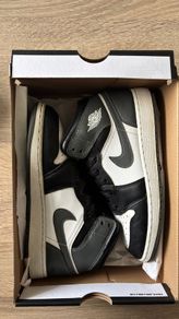 Jordan 1s High
