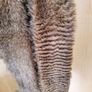 Women's Fur Scarf Image 2