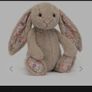 Jellycat Blossom Beige Bunny New Image 2