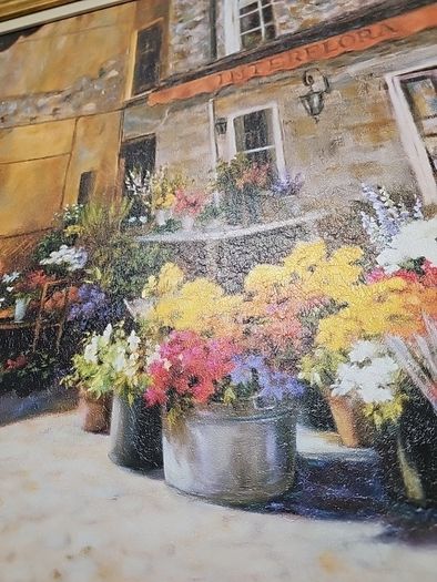 Framed 'Flower Shop" by artist Jan McLaughlin