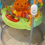 Jumperoo Image 3