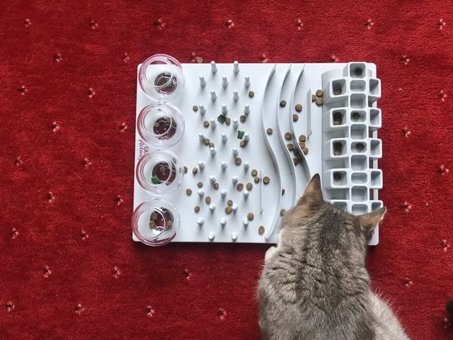Cat Treat Station