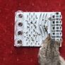 Cat Treat Station Image 2