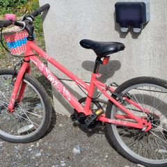 Red Envy bike
