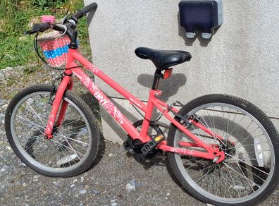 Red Envy bike