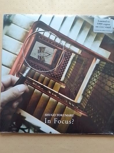 Shugo Tokumaru LP - In Focus?