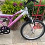 Girls Bike Image 2