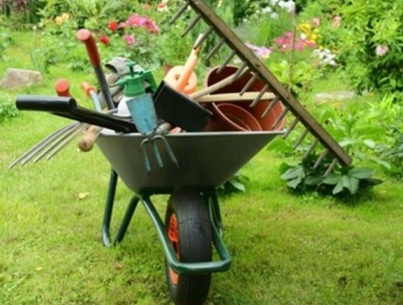Garden maintenance
