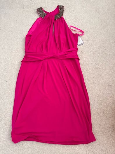 Coast dress BNWT