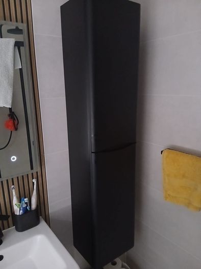 2 door wall mounted tall boy cabinet
