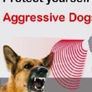 New Rechargeable Dog Repeller - FREE DELIVERY Image 4