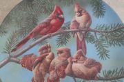 Knowles Backyard Harmony Collector Plate - 'The Singing Lesson' - Cardinal Family