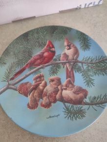 Knowles Backyard Harmony Collector Plate - 'The Singing Lesson' - Cardinal Family