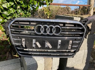 audi grill