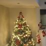 Christmas  tree Image 2