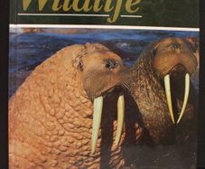 SALE!  The Illustrated Encyclopedia of WILDLIFE - Volume 3 - Mammals