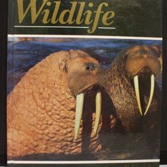 SALE!  The Illustrated Encyclopedia of WILDLIFE - Volume 3 - Mammals