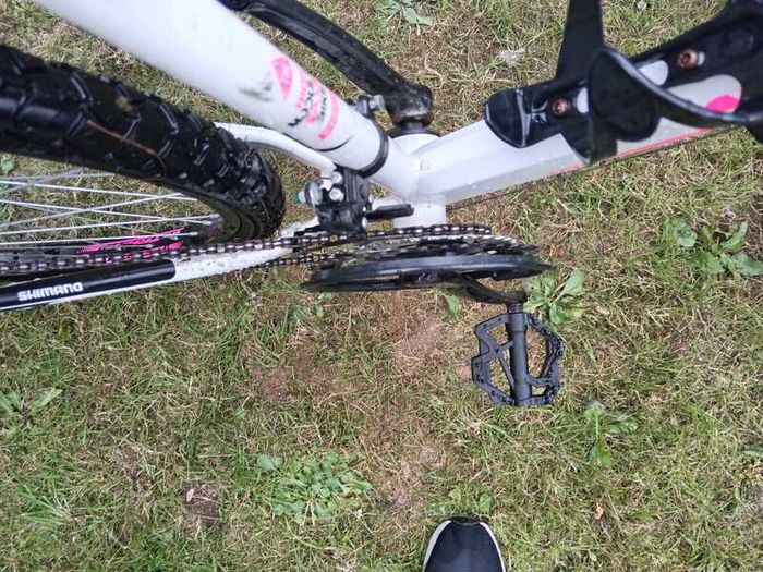 Girls Bicycle