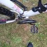 Girls Bicycle Image 5