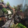 fluval flex Image 3
