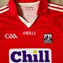 Cork GAA Jersey 2013-2015 Image 2