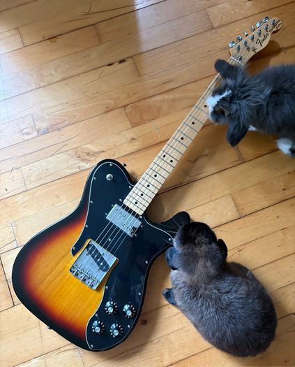 Fender Custom Telecaster