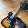 Fender Custom Telecaster Image 2