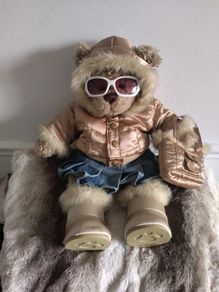 Simply Stunning  Build A Bear Winter Bear With Clothes And Accessories