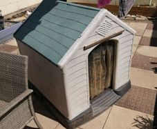 large dog house