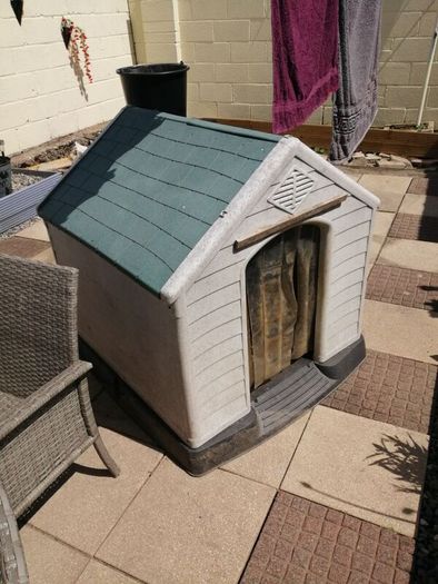 large dog house