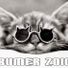 bumer2010