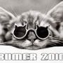 bumer2010