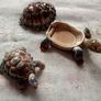 Vintage collectible WADE "The Tortoise Family" Papa Ashtray and Baby Tortoise Image 3