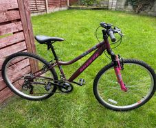 Breeze Girls Bike