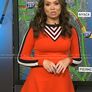 BNWT Karen Millen A-line Knitted Dress - As seen on TV Image 2