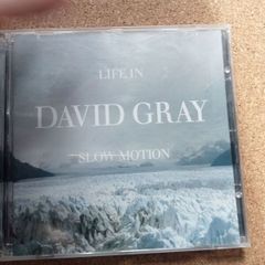 David Gray - Life in Slow Motion CD