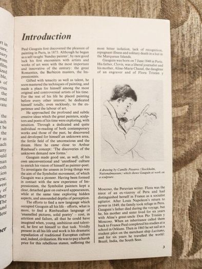 3 X Complete Paintings.  Gauguin 1. Rembrandt 2. & Toulouse- Lautrec 1.3 X Paperback In Good Condition.