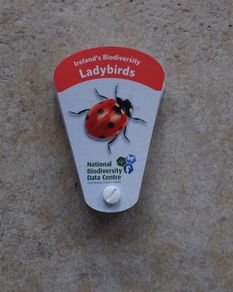 Ireland's Biodiversity Identification Swatch : Ladybirds