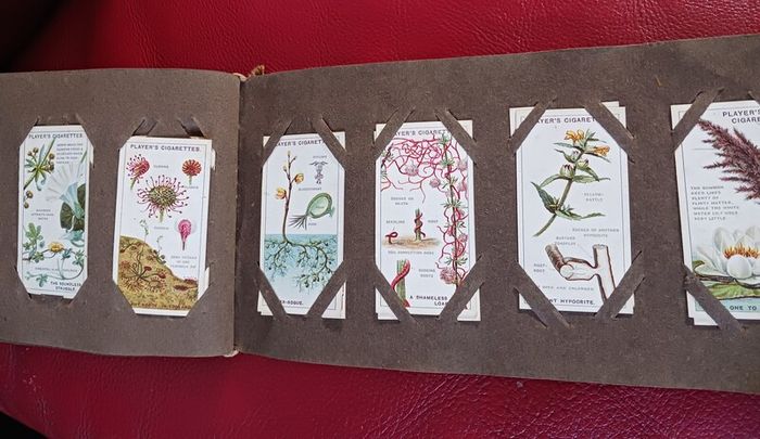 Cigarette Cards from the 1920s,Gallaghers / Players