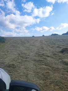 Hay for sale