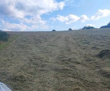 Hay for sale