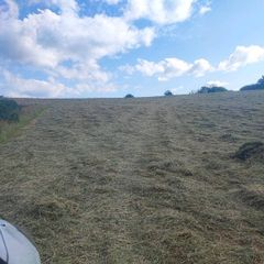 Hay for sale